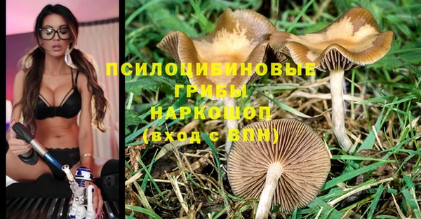 каннабис Магас
