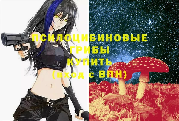 каннабис Майский